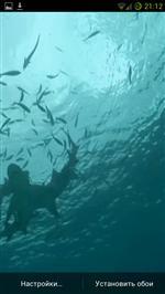   Ocean Alive Video Wallpapers 1.0.6